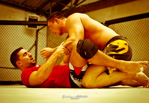Seism Academy Free Fight UFC Entrainement