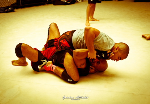 Seism Academy Free Fight UFC Entrainement