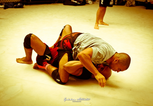Seism Academy Free Fight UFC Entrainement