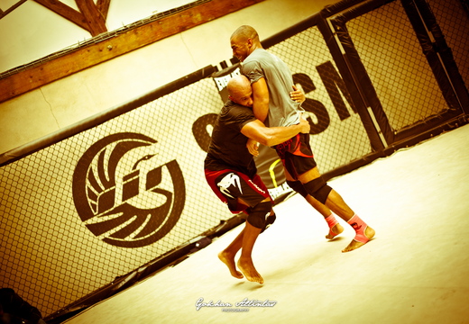 Seism Academy Free Fight UFC Entrainement