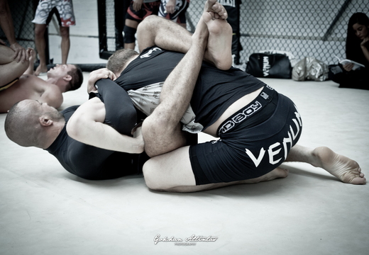 Seism Academy Free Fight UFC Entrainement