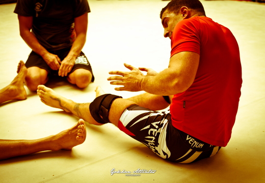 Seism Academy Free Fight UFC Entrainement