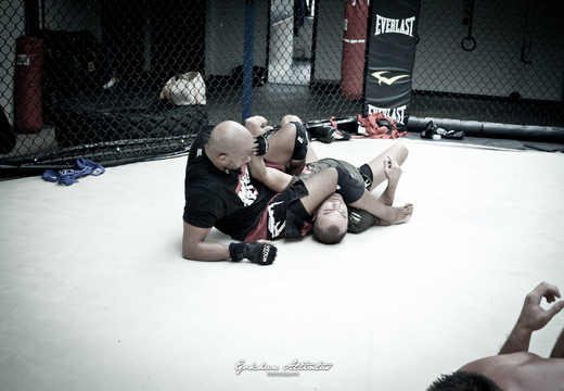 Seism Academy Free Fight UFC Entrainement