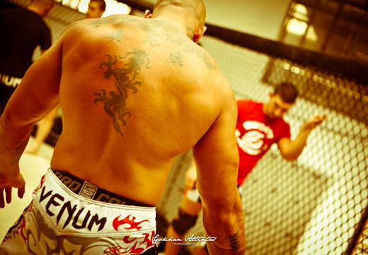 Seism Academy Free Fight UFC Entrainement