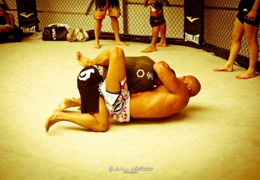Seism Academy Free Fight UFC Entrainement