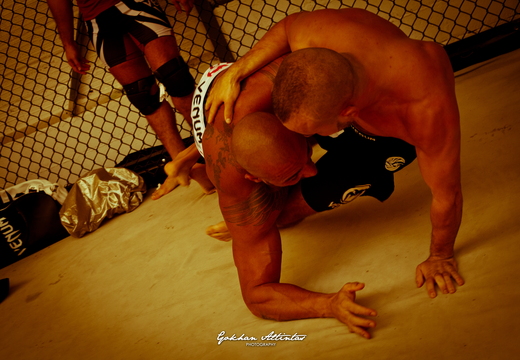 Seism Academy Free Fight UFC Entrainement