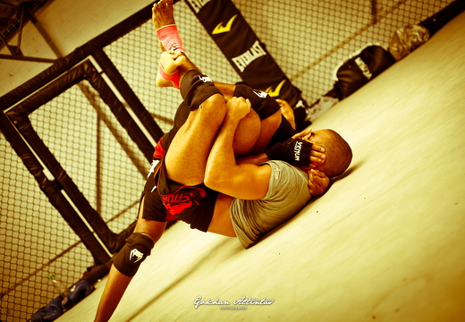 Seism Academy Free Fight UFC Entrainement