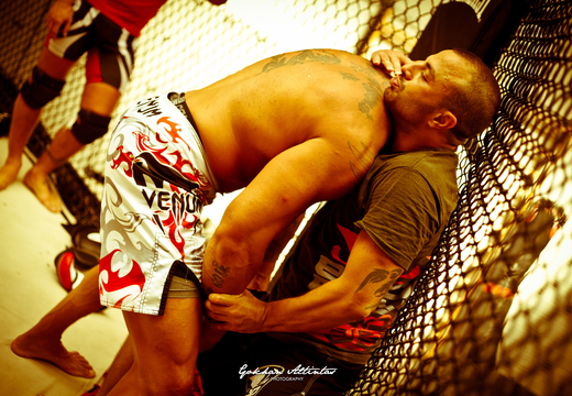 Seism Academy Free Fight UFC Entrainement