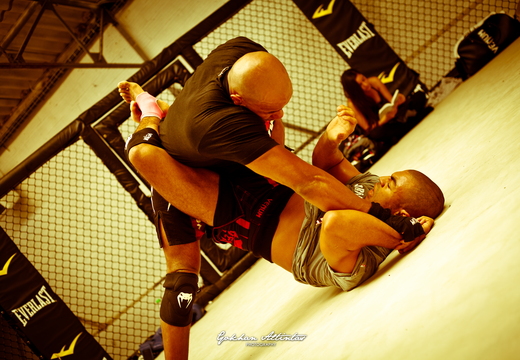Seism Academy Free Fight UFC Entrainement