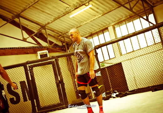 Seism Academy Free Fight UFC Entrainement