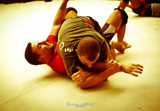 Seism Academy Free Fight UFC Entrainement