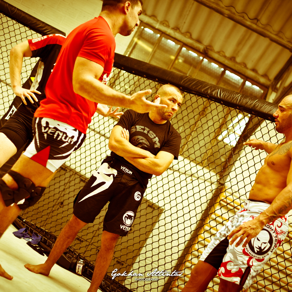 Seism Academy Free Fight UFC Entrainement