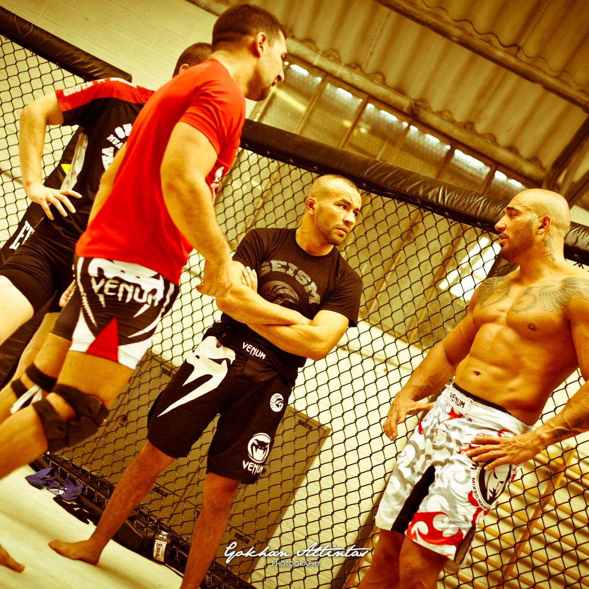 Seism Academy Free Fight UFC Entrainement