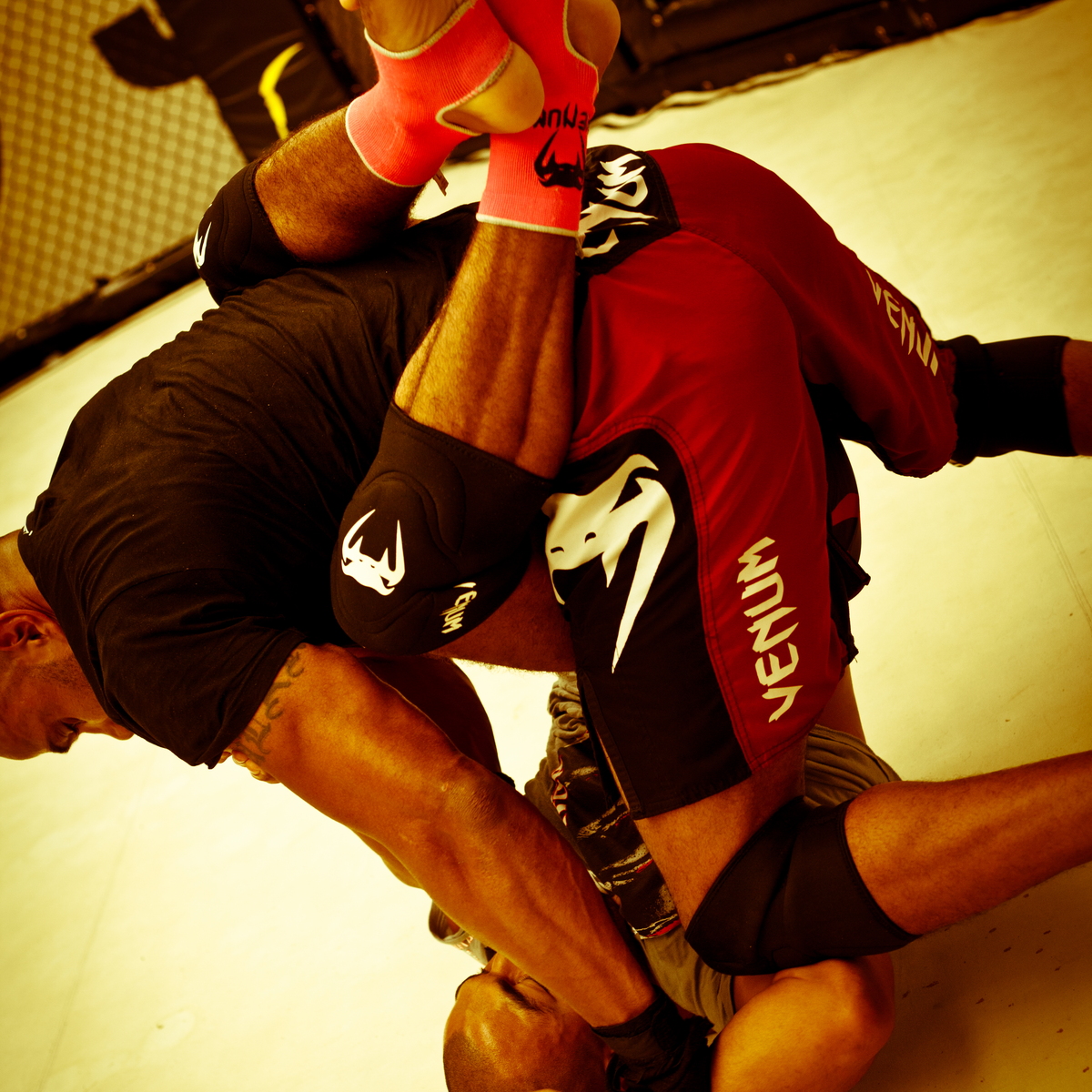 Seism Academy Free Fight UFC Entrainement