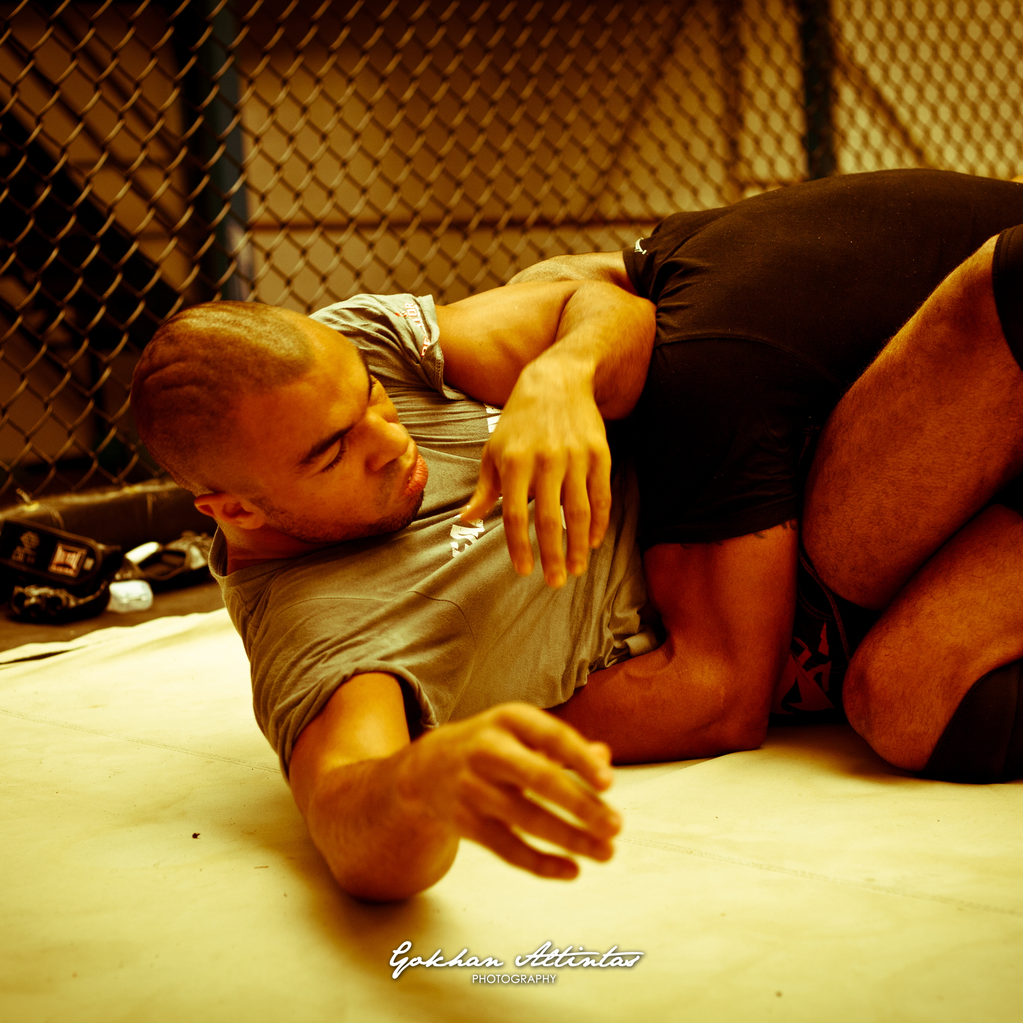 Seism Academy Free Fight UFC Entrainement