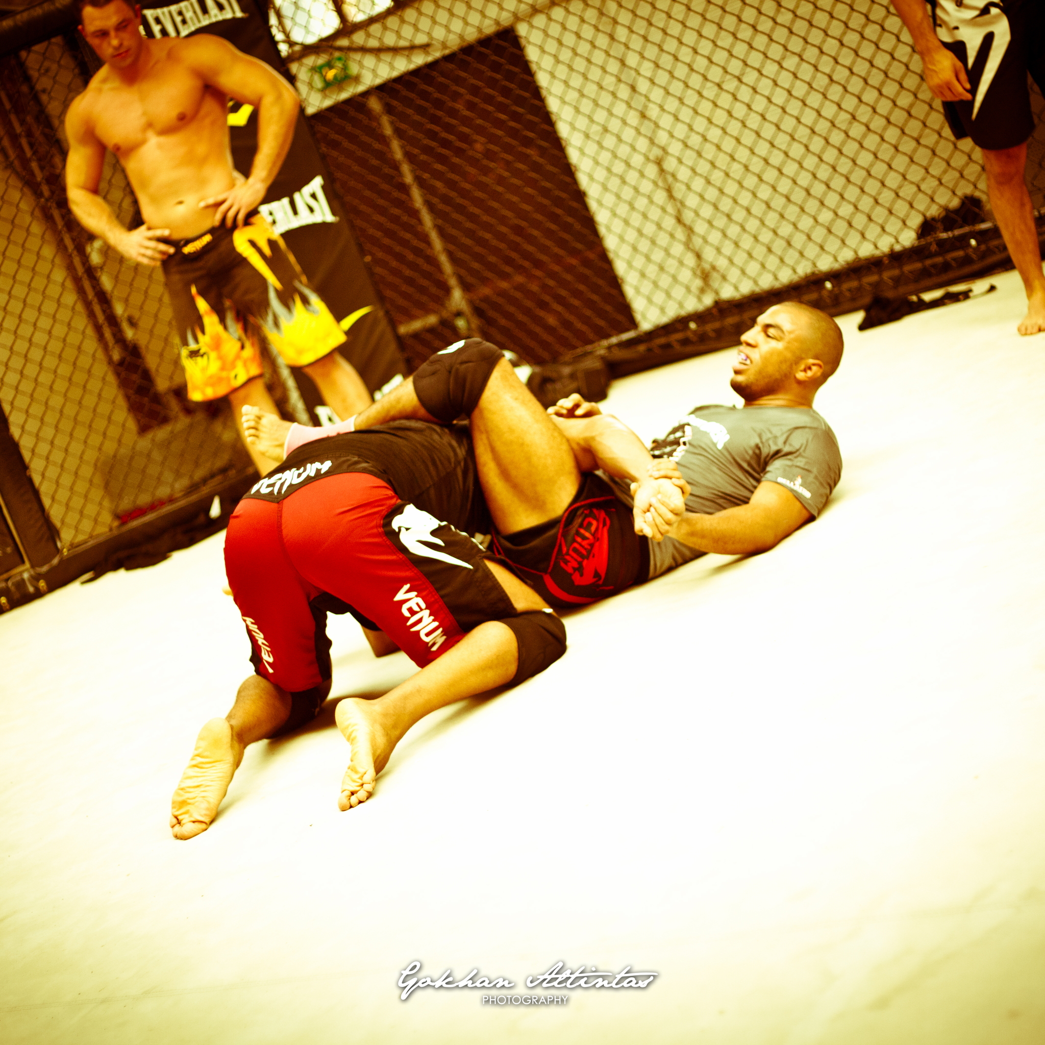 Seism Academy Free Fight UFC Entrainement