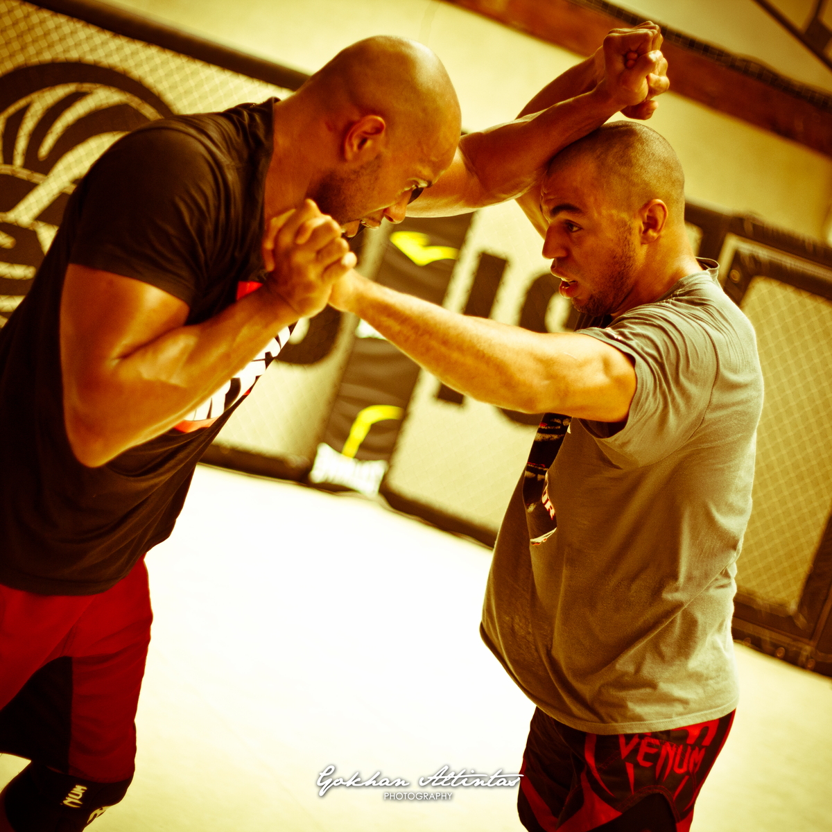 Seism Academy Free Fight UFC Entrainement