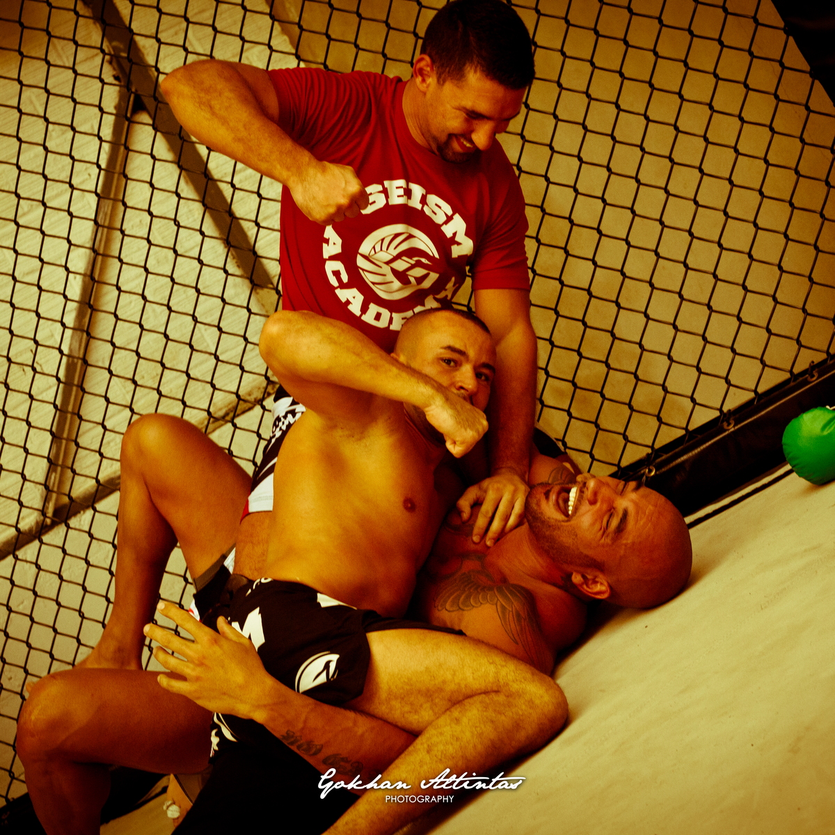 Seism Academy Free Fight UFC Entrainement
